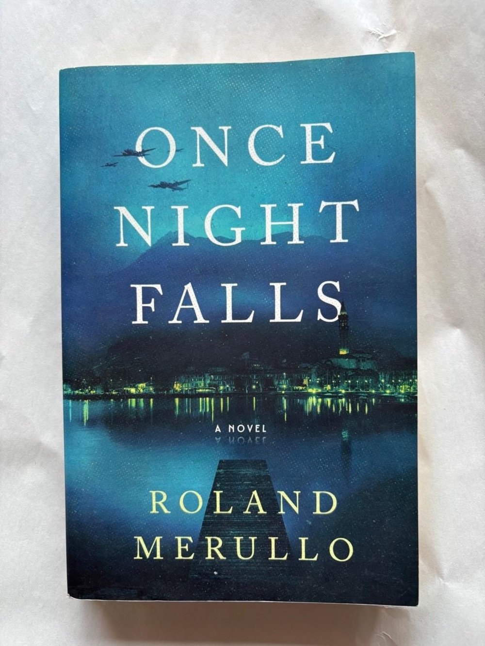 ✨ Once Night Falls by Roland Merullo✨